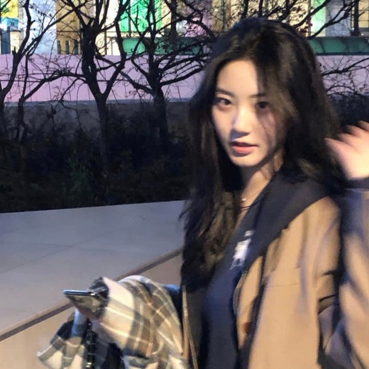 青春期猪头少年不做怀梦少女的梦