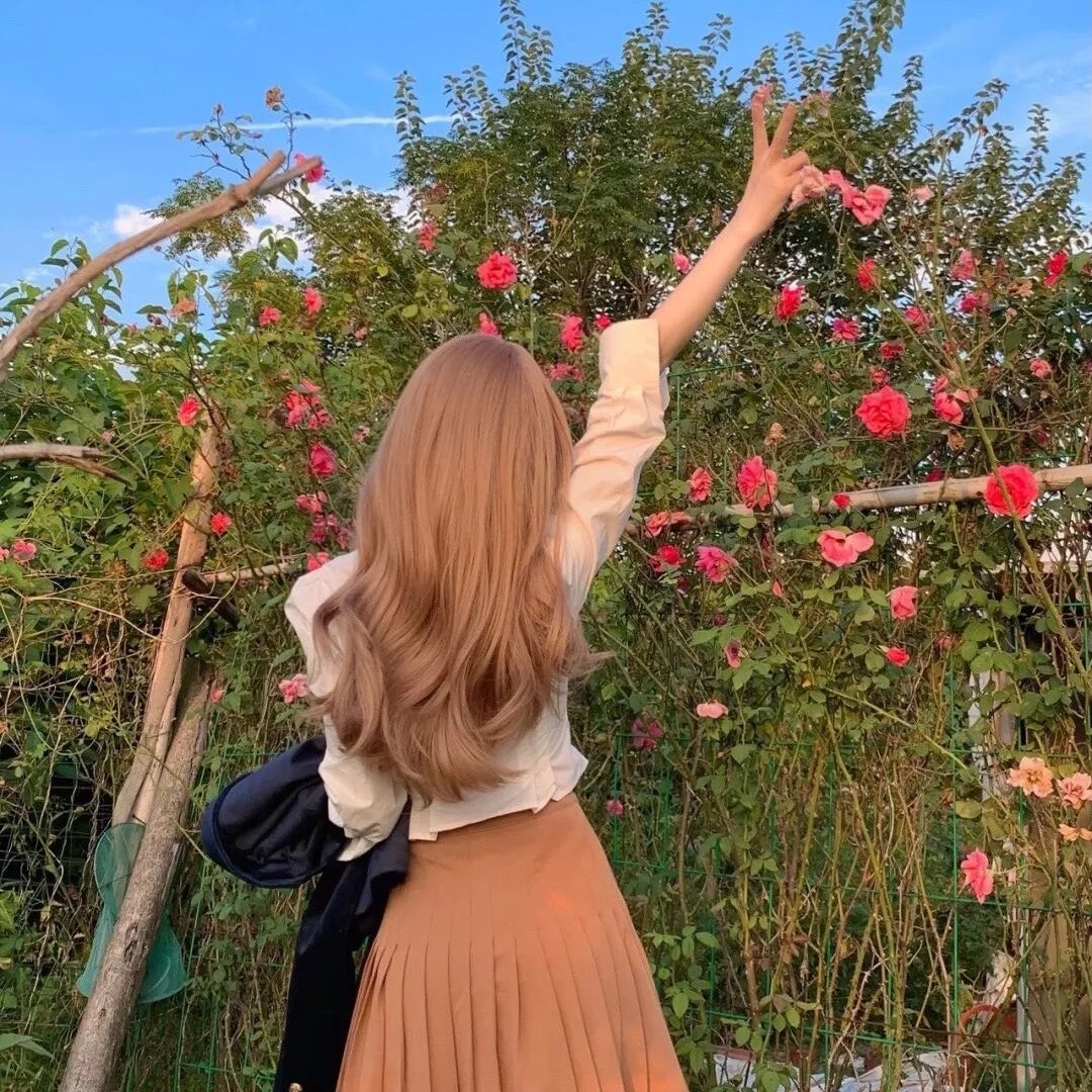 综艺之翼麻雀变凤凰